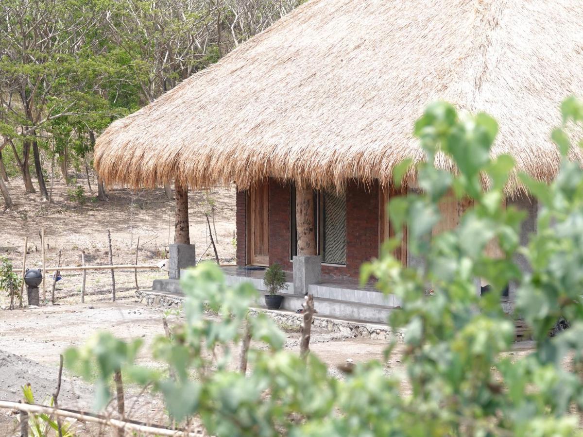 Hotel Melody Surf - Ekas Lombok Zewnętrze zdjęcie