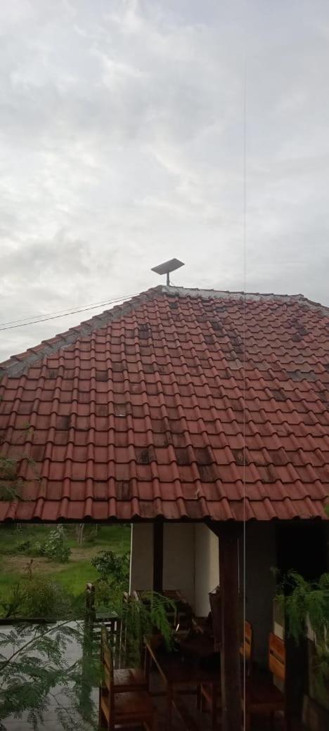 Hotel Melody Surf - Ekas Lombok Zewnętrze zdjęcie