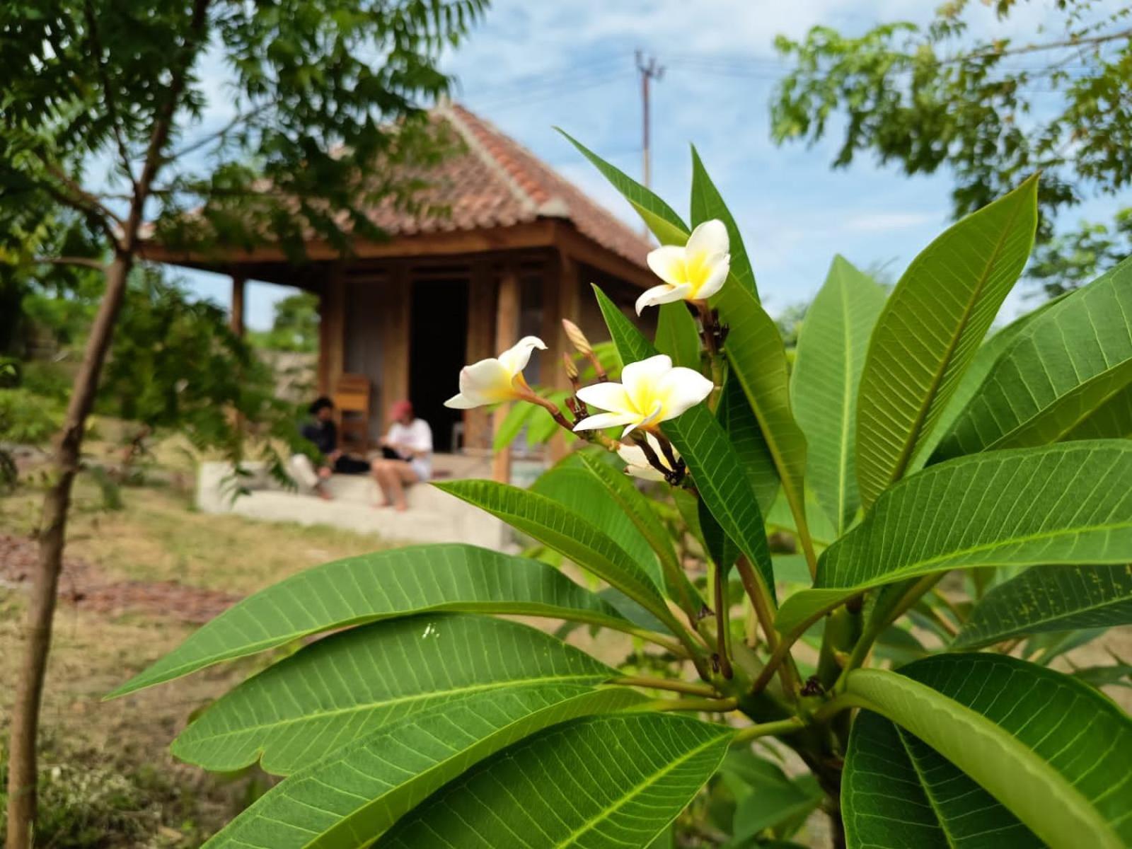 Hotel Melody Surf - Ekas Lombok Zewnętrze zdjęcie