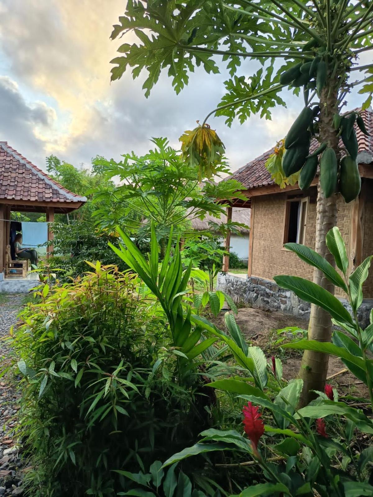 Hotel Melody Surf - Ekas Lombok Zewnętrze zdjęcie